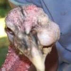 Meet your Posher, Nathaniel